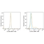 ABflo® 488 Rabbit anti-Mouse CD59a mAb (A23361)