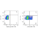 A23361: ABflo® 488 Rabbit anti-Mouse CD59a mAb