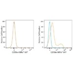 ABflo® 647 Rabbit anti-Mouse CD59a mAb (A23362)