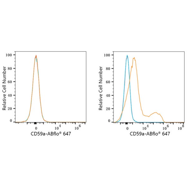 ABflo® 647 Rabbit anti-Mouse CD59a mAb (A23362) ABflo® 647 Rabbit anti-Mouse CD59a mAb (A23362)