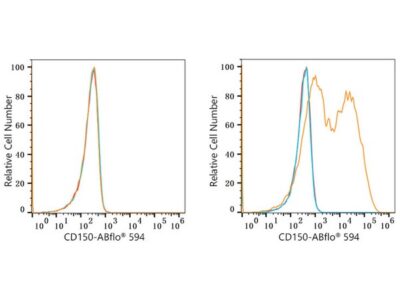 ABflo® 594 Rabbit anti-Human CD150/SLAM mAb (A23363)