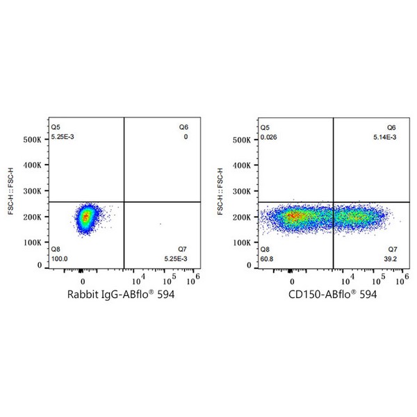 A23363: ABflo® 594 Rabbit anti-Human CD150/SLAM mAb