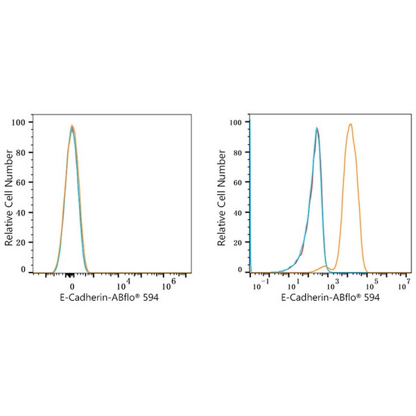 ABflo® 594 Rabbit anti-Human E-Cadherin/CD324 mAb (A23364) ABflo® 594 Rabbit anti-Human E-Cadherin/CD324 mAb (A23364)