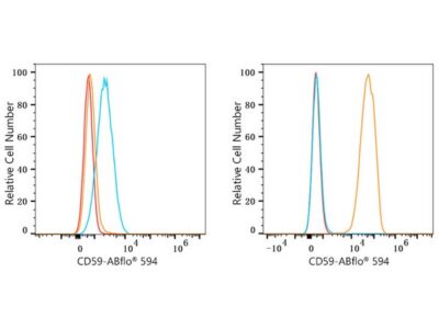 ABflo® 594 Rabbit anti-Human CD59 mAb (A23365)
