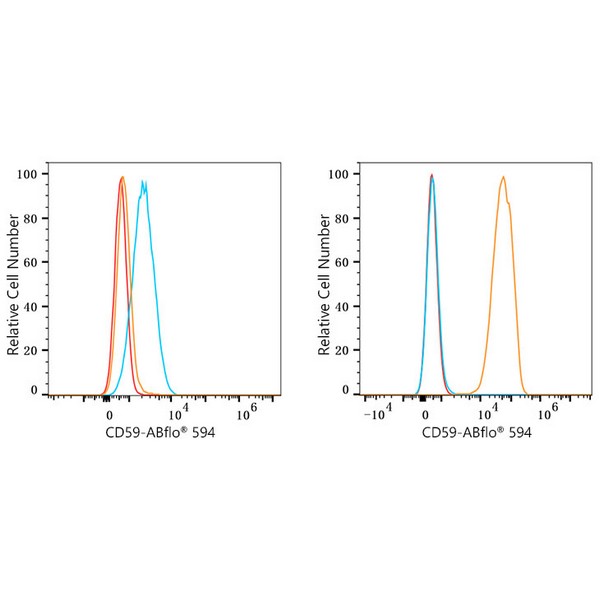 ABflo® 594 Rabbit anti-Human CD59 mAb (A23365) ABflo® 594 Rabbit anti-Human CD59 mAb (A23365)
