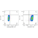 A23365: ABflo® 594 Rabbit anti-Human CD59 mAb