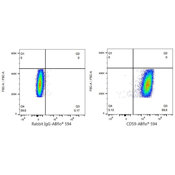 A23365: ABflo® 594 Rabbit anti-Human CD59 mAb