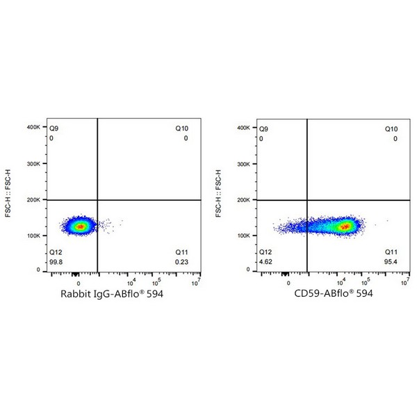 ABflo® 594 Rabbit anti-Human CD59 mAb (Catalog Number: A23365) Abclonal