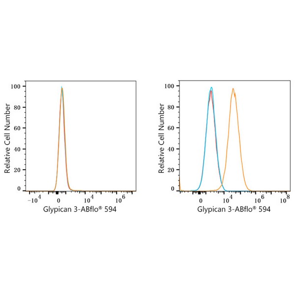 ABflo® 594 Rabbit anti-Human Glypican 3 (GPC3) mAb (A23366)