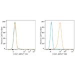 ABflo® 594 Rabbit anti-Human CR2/CD21 mAb (A23367)