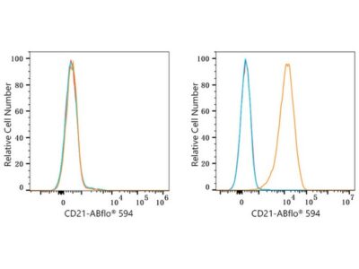 ABflo® 594 Rabbit anti-Human CR2/CD21 mAb (A23367)