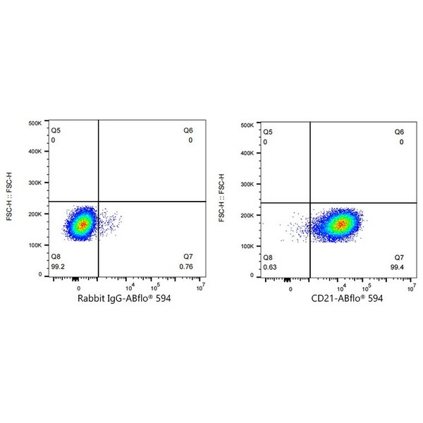 A23367: ABflo® 594 Rabbit anti-Human CR2/CD21 mAb