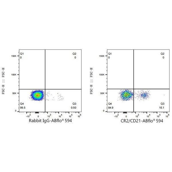 ABflo® 594 Rabbit anti-Human CR2/CD21 mAb (Catalog Number: A23367) Abclonal