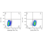 A23368: ABflo® 594 Rabbit anti-Human CAR/CXADR mAb