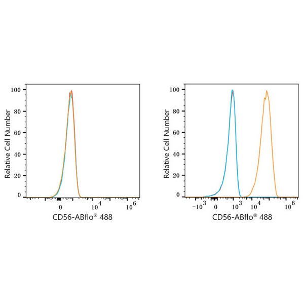 ABflo® 488 Rabbit anti-Mouse CD56/NCAM mAb (A23369) ABflo® 488 Rabbit anti-Mouse CD56/NCAM mAb (A23369)