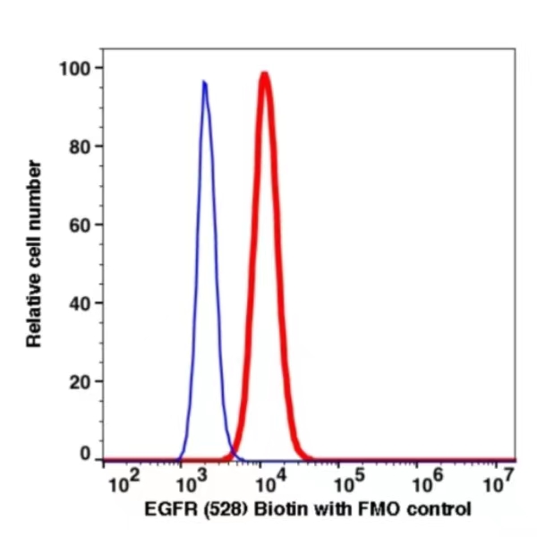 Anti-EGFR Biotin(107051) catalog number: 107051 Caprico Biotechnologies Anti-EGFR Biotin(107051) catalog number: 107051 Caprico Biotechnologies