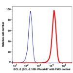 BCL-2 iFluor647(1131124) catalog number: 1131124 Caprico Biotechnologies