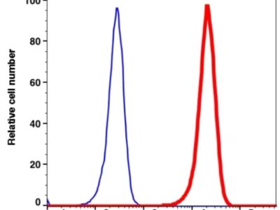 BCL-2 iFluor647(1131124) catalog number: 1131124 Caprico Biotechnologies