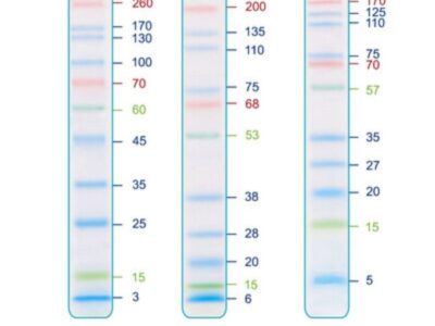 BIO-HELIX IRIS11 Prestained Protein Ladder (catalog No. PMI11-0500)