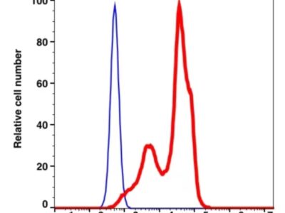 CD2 iFluor™ 488(1002114) catalog number：1002114 Caprico Biotechnologies