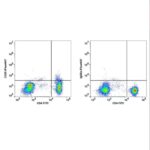 CD25 iFluor647(1026124) catalog number：1026124 Caprico Biotechnologies