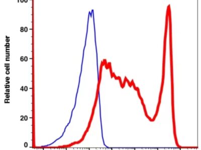 CD45RO PE-CF594(1078204) catalog number: 1078204 Caprico Biotechnologies