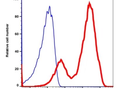 CD5 iFluor594(1121134) catalog number: 1121134 Caprico Biotechnologies