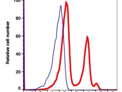 CD56 PE-CF594(1106204) catalog number: 1106204 Caprico Biotechnologies