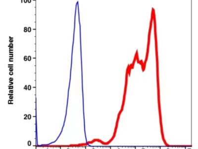 CD66b iFluor594(1075134) catalog number: 1075134 Caprico Biotechnologies