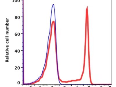 CD8 APC(110944) catalog number: 110944 Caprico Biotechnologies
