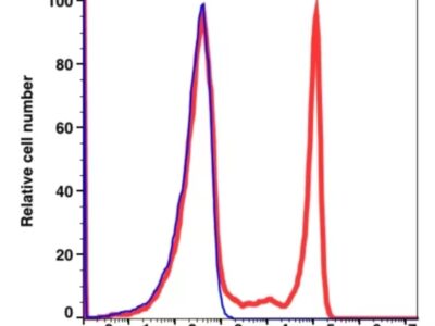CD8 Biotin(110950) catalog number: 110950 Caprico Biotechnologies