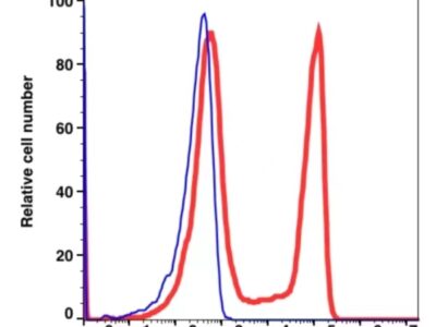 CD8 PE(110924) catalog number: 110924 Caprico Biotechnologies