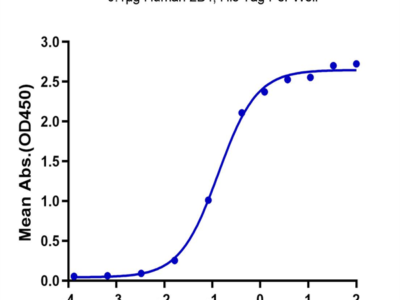 Human 2B4/CD244/SLAMF4 Protein (2B4-HM101)