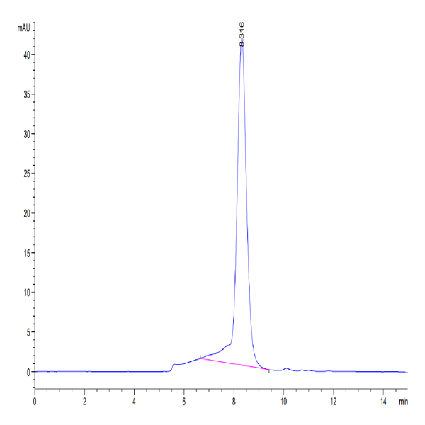 Human 2B4/CD244/SLAMF4 Protein (2B4-HM101)