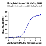 Biotinylated Human 2B4/CD244/SLAMF4 Protein (2B4-HM401B)