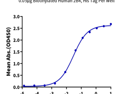 Biotinylated Human 2B4/CD244/SLAMF4 Protein (2B4-HM401B)