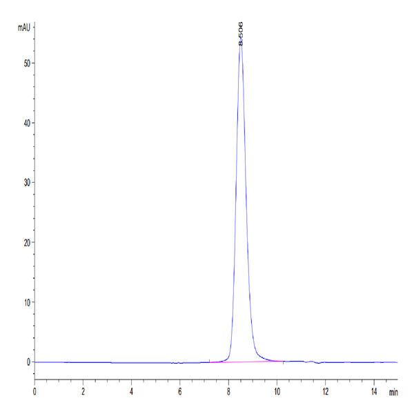 Biotinylated Human 2B4/CD244/SLAMF4 Protein (2B4-HM401B)