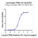 Cynomolgus TPBG/5T4 Protein (5T4-CM101)