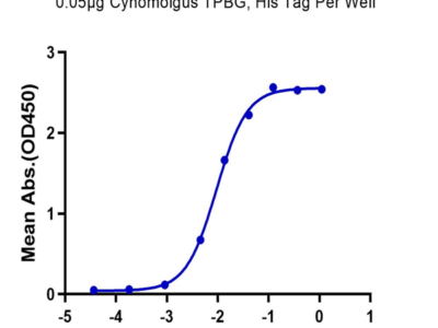 Cynomolgus TPBG/5T4 Protein (5T4-CM101)