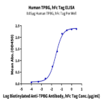 Human TPBG/5T4 Protein (5T4-HM201)