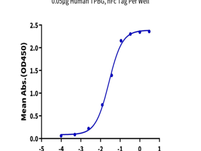 Human TPBG/5T4 Protein (5T4-HM201)