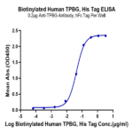 Biotinylated Human TPBG/5T4 Protein (5T4-HM401B)