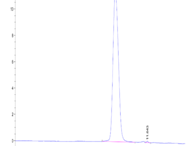 Mouse TPBG/5T4 Protein (5T4-MM101)