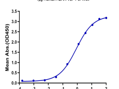 Human A2AR Protein-VLP (A2A-HM00R)