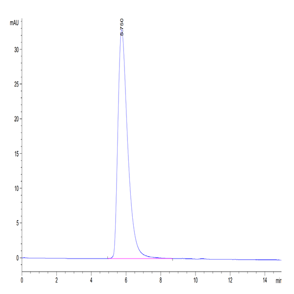 Cynomolgus ACE2/ACEH Protein (ACE-CM401)