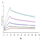 Human ACE2/ACEH Protein (ACE-HM101)