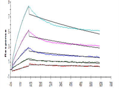 Human ACE2/ACEH Protein (ACE-HM101)