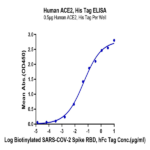 Human ACE2/ACEH Protein (ACE-HM101)