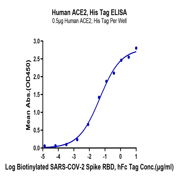 Human ACE2/ACEH Protein (ACE-HM101)