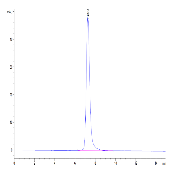 Human ACE2/ACEH Protein (ACE-HM101)